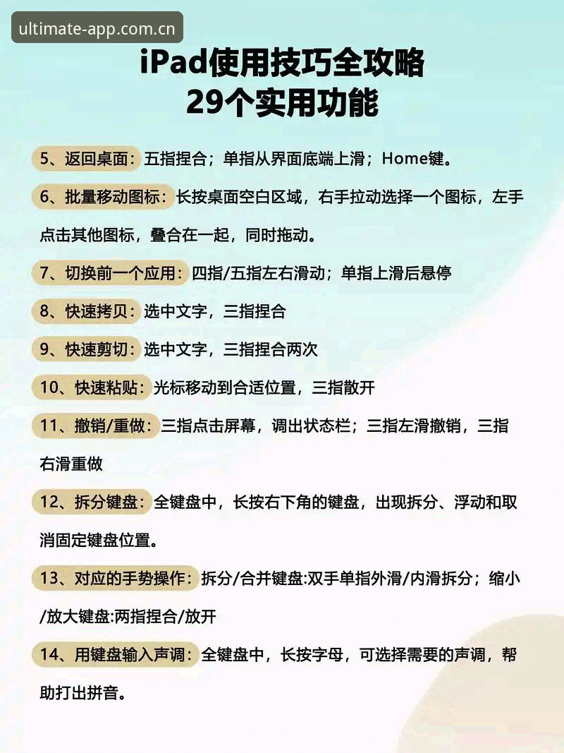 完美体育官方版本必备要素全面解析：从下载到极致体验的操作指南