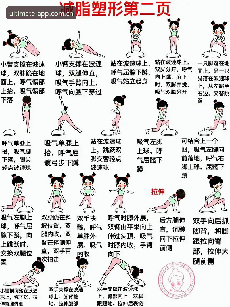 完美体育功能攻略实用指南：从入门到精通的必备知识